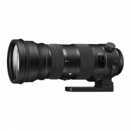 Sigma 150-600mm f/5-6.3 DG OS HSM Sports za Nikon, GARANCIJA 5 GODINA (2+3)