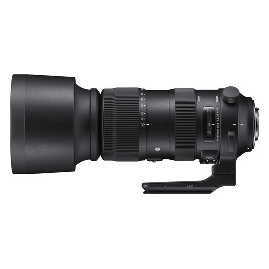 Sigma 60-600mm f/4.5-6.3 DG OS HSM Sports za Nikon - 2