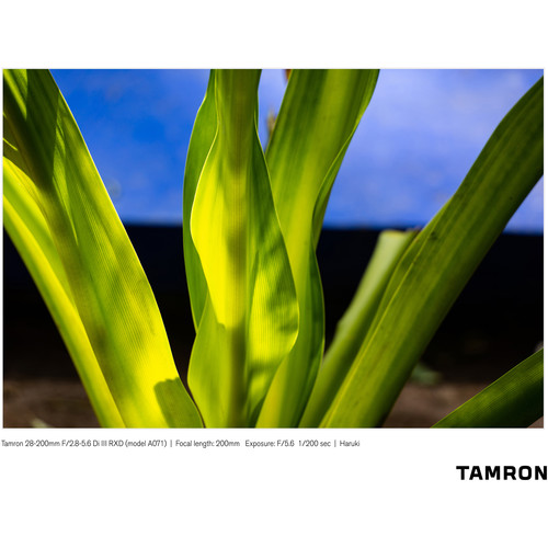 Tamron 28-200mm f/2.8-5.6 Di III RXD za Sony E - 7