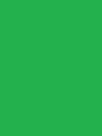 Visico Muslin pozadina zelena boja 3x6m - 1